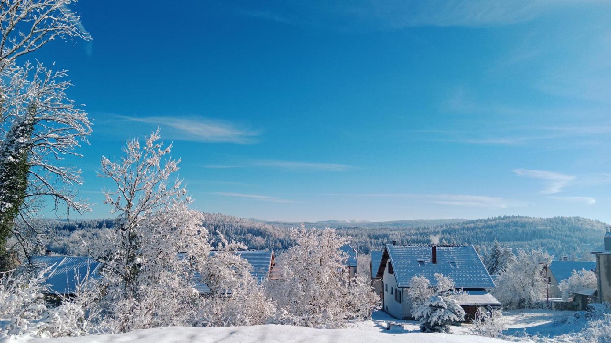Gite Des Roches La Chaux-du-Dombief Екстер'єр фото